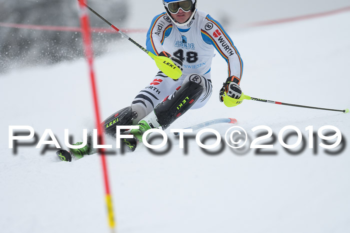 Int. FIS Rennen + NJC  AC Herren, FIS SG, Götschen, 25.01.2019