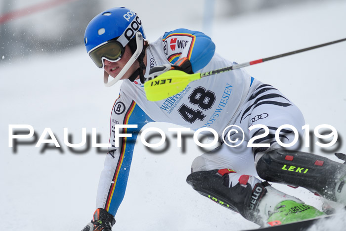 Int. FIS Rennen + NJC  AC Herren, FIS SG, Götschen, 25.01.2019