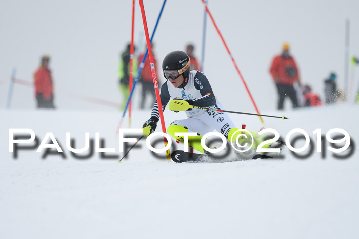 Int. FIS Rennen + NJC  AC Herren, FIS SG, Götschen, 25.01.2019