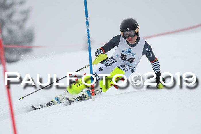 Int. FIS Rennen + NJC  AC Herren, FIS SG, Götschen, 25.01.2019