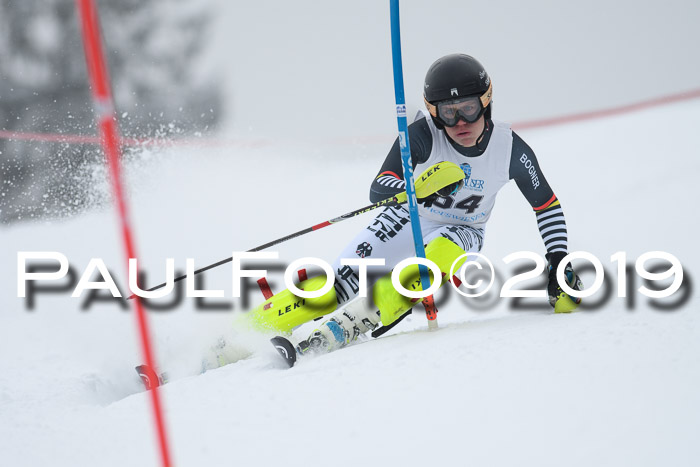 Int. FIS Rennen + NJC  AC Herren, FIS SG, Götschen, 25.01.2019