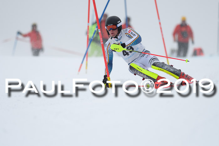 Int. FIS Rennen + NJC  AC Herren, FIS SG, Götschen, 25.01.2019