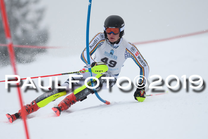 Int. FIS Rennen + NJC  AC Herren, FIS SG, Götschen, 25.01.2019