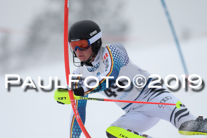 Int. FIS Rennen + NJC  AC Herren, FIS SG, Götschen, 25.01.2019