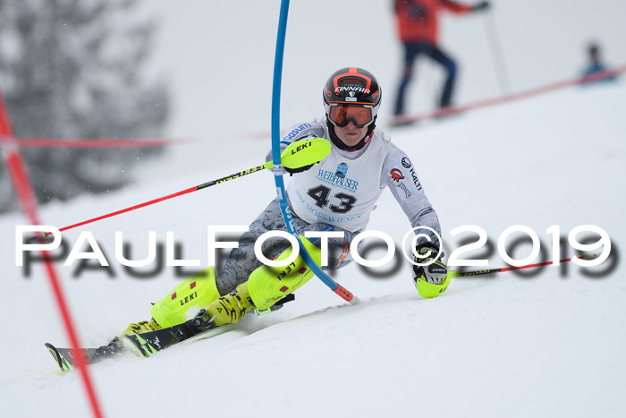 Int. FIS Rennen + NJC  AC Herren, FIS SG, Götschen, 25.01.2019