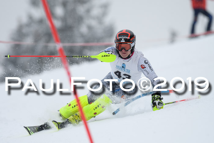 Int. FIS Rennen + NJC  AC Herren, FIS SG, Götschen, 25.01.2019