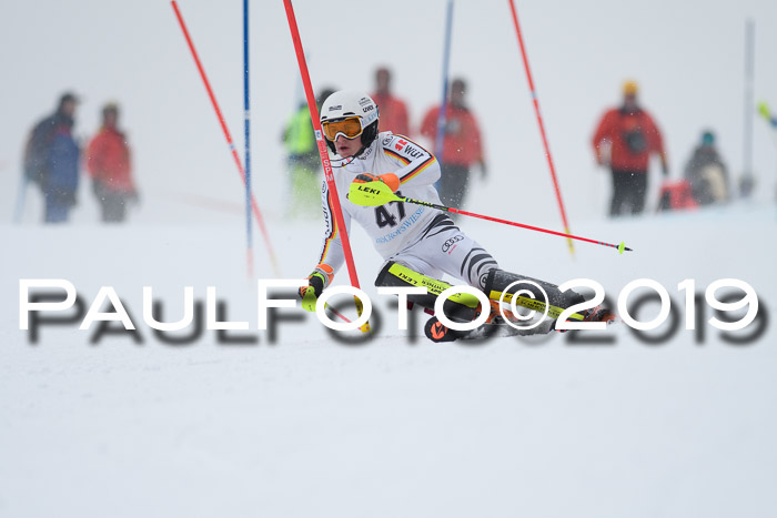 Int. FIS Rennen + NJC  AC Herren, FIS SG, Götschen, 25.01.2019