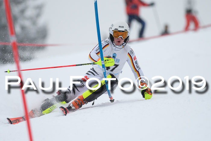 Int. FIS Rennen + NJC  AC Herren, FIS SG, Götschen, 25.01.2019