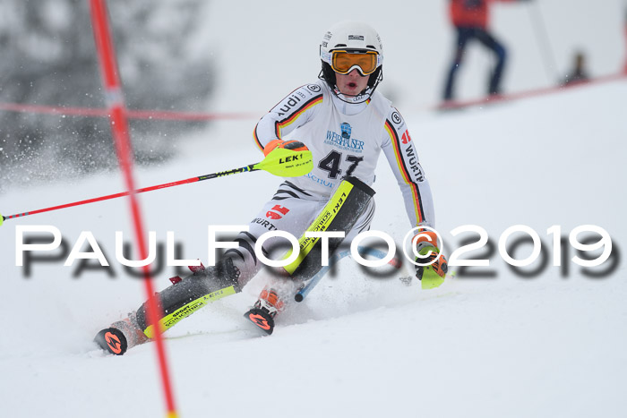 Int. FIS Rennen + NJC  AC Herren, FIS SG, Götschen, 25.01.2019