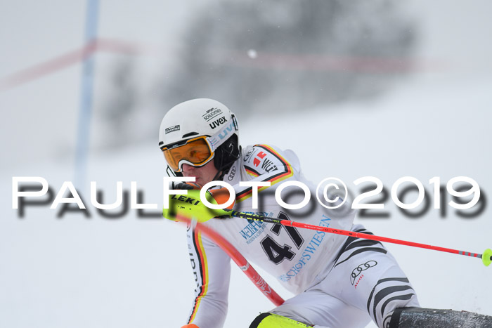 Int. FIS Rennen + NJC  AC Herren, FIS SG, Götschen, 25.01.2019