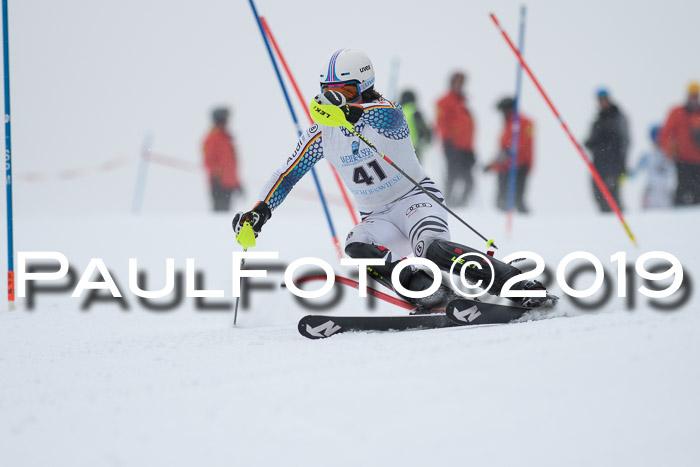Int. FIS Rennen + NJC  AC Herren, FIS SG, Götschen, 25.01.2019