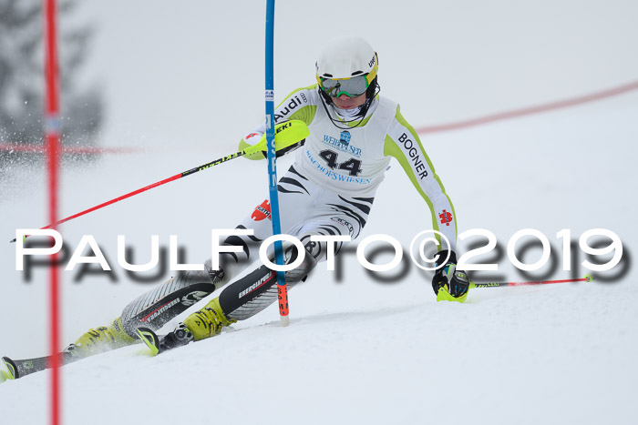 Int. FIS Rennen + NJC  AC Herren, FIS SG, Götschen, 25.01.2019