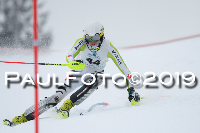 Int. FIS Rennen + NJC  AC Herren, FIS SG, Götschen, 25.01.2019