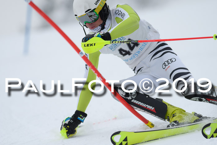 Int. FIS Rennen + NJC  AC Herren, FIS SG, Götschen, 25.01.2019