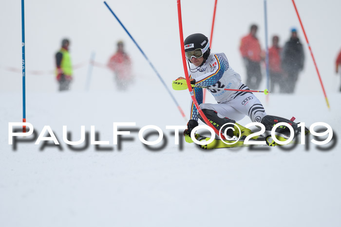 Int. FIS Rennen + NJC  AC Herren, FIS SG, Götschen, 25.01.2019