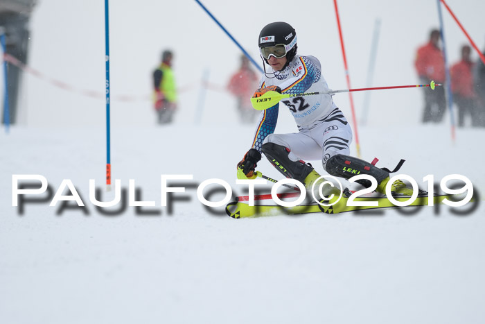 Int. FIS Rennen + NJC  AC Herren, FIS SG, Götschen, 25.01.2019