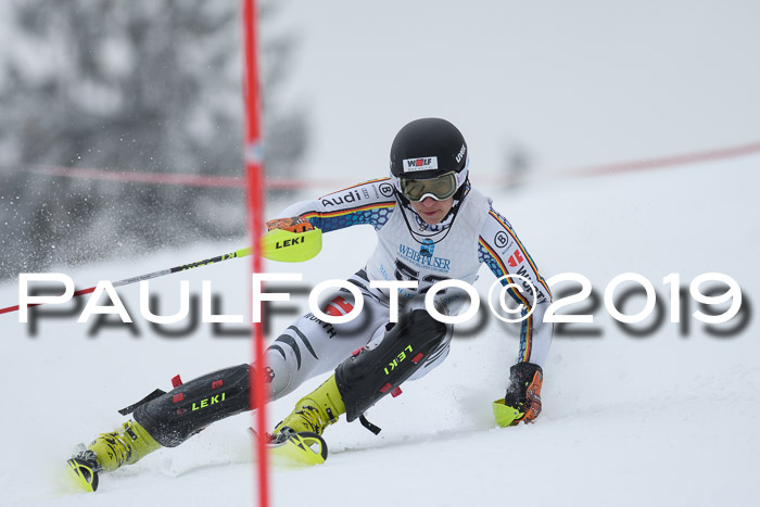 Int. FIS Rennen + NJC  AC Herren, FIS SG, Götschen, 25.01.2019