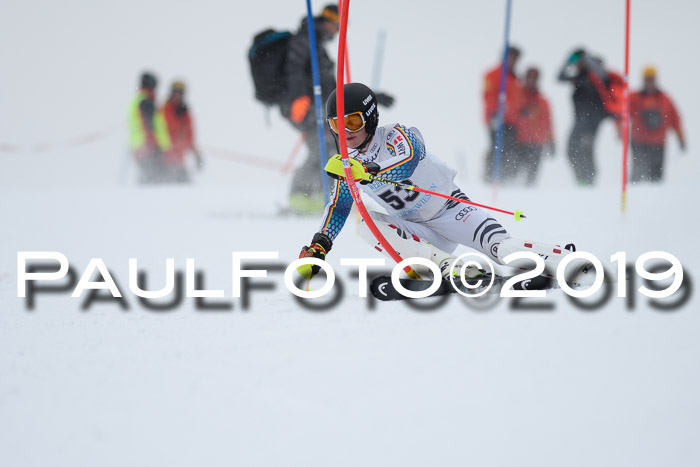 Int. FIS Rennen + NJC  AC Herren, FIS SG, Götschen, 25.01.2019