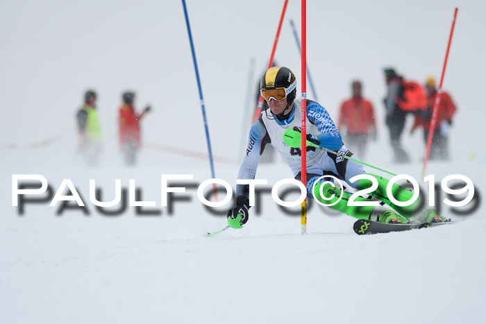 Int. FIS Rennen + NJC  AC Herren, FIS SG, Götschen, 25.01.2019