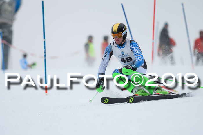 Int. FIS Rennen + NJC  AC Herren, FIS SG, Götschen, 25.01.2019