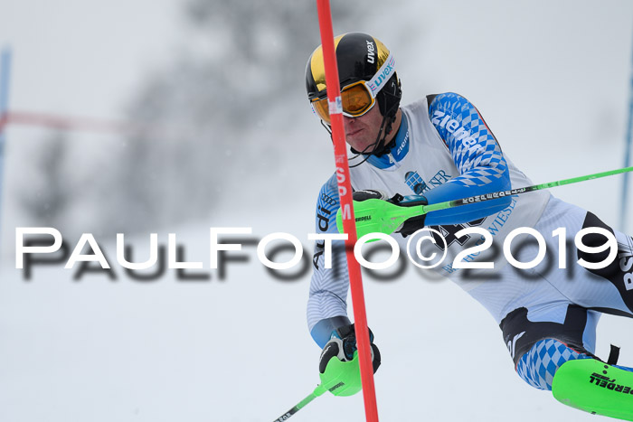 Int. FIS Rennen + NJC  AC Herren, FIS SG, Götschen, 25.01.2019