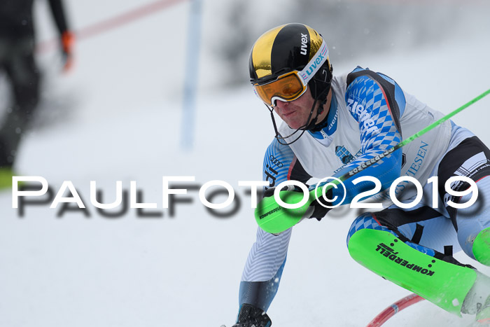 Int. FIS Rennen + NJC  AC Herren, FIS SG, Götschen, 25.01.2019