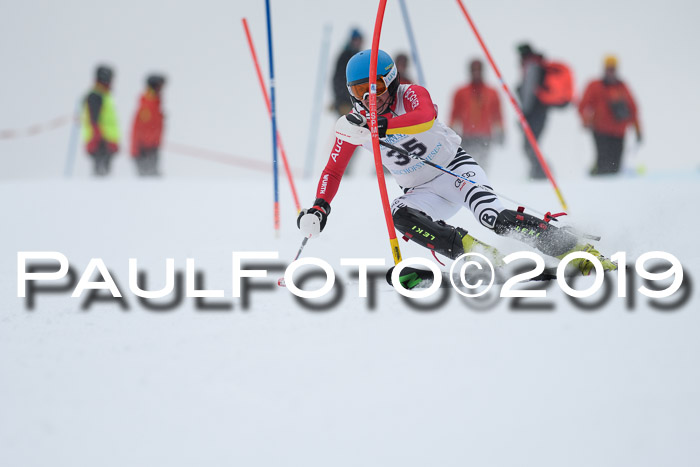Int. FIS Rennen + NJC  AC Herren, FIS SG, Götschen, 25.01.2019