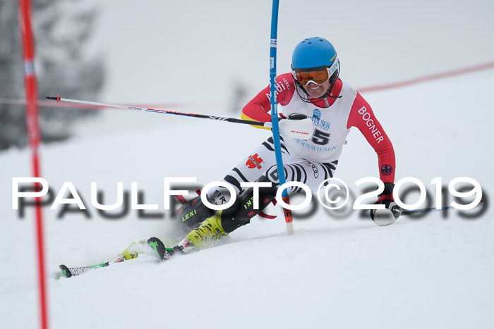Int. FIS Rennen + NJC  AC Herren, FIS SG, Götschen, 25.01.2019