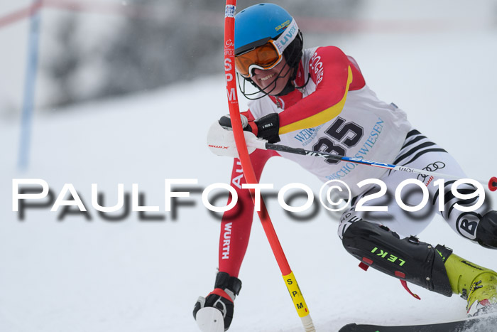 Int. FIS Rennen + NJC  AC Herren, FIS SG, Götschen, 25.01.2019