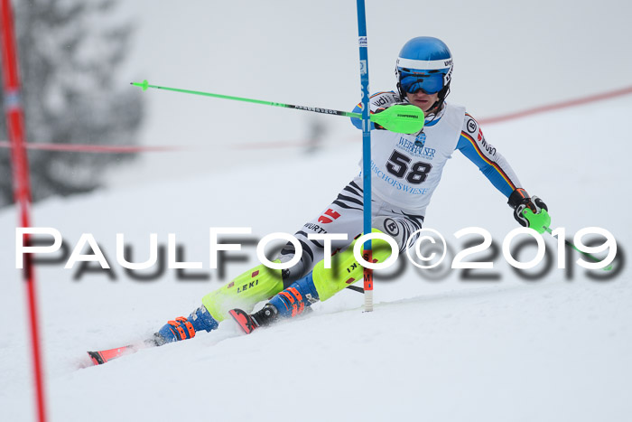 Int. FIS Rennen + NJC  AC Herren, FIS SG, Götschen, 25.01.2019