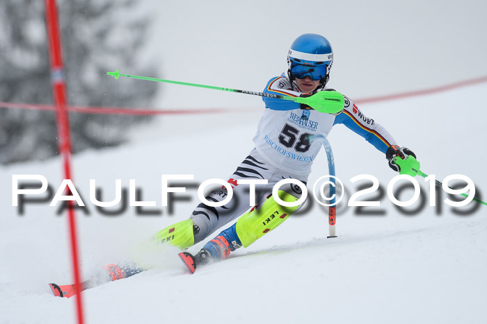 Int. FIS Rennen + NJC  AC Herren, FIS SG, Götschen, 25.01.2019