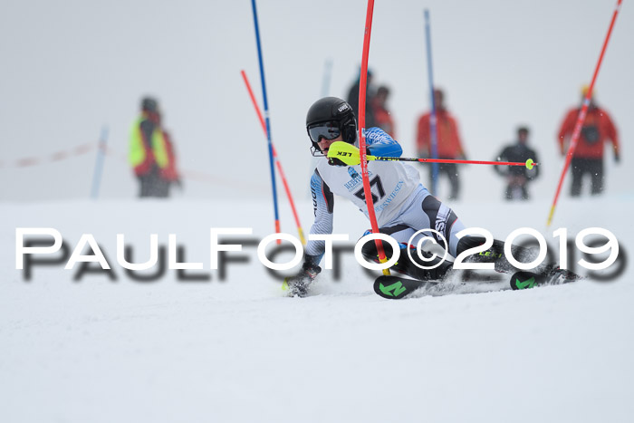 Int. FIS Rennen + NJC  AC Herren, FIS SG, Götschen, 25.01.2019