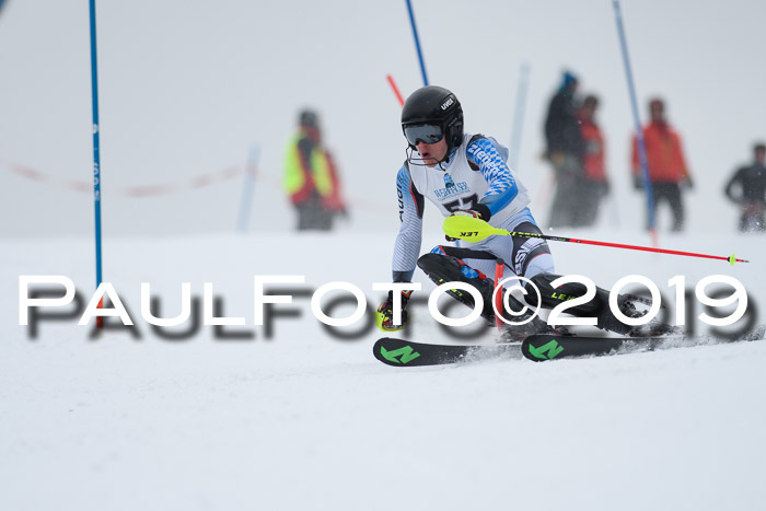 Int. FIS Rennen + NJC  AC Herren, FIS SG, Götschen, 25.01.2019