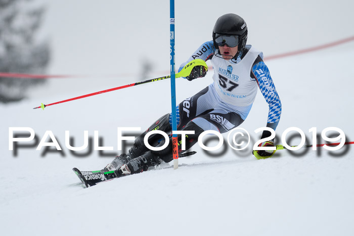Int. FIS Rennen + NJC  AC Herren, FIS SG, Götschen, 25.01.2019