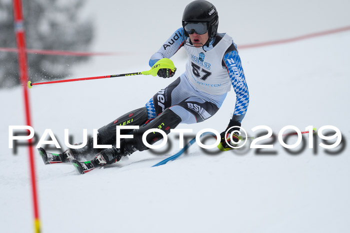 Int. FIS Rennen + NJC  AC Herren, FIS SG, Götschen, 25.01.2019