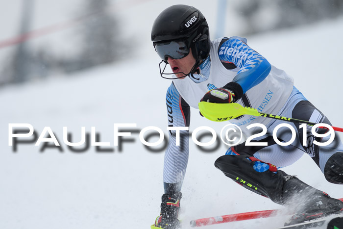 Int. FIS Rennen + NJC  AC Herren, FIS SG, Götschen, 25.01.2019