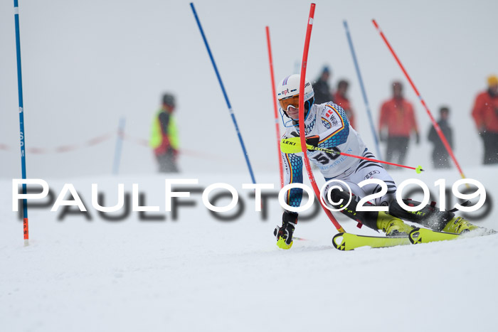 Int. FIS Rennen + NJC  AC Herren, FIS SG, Götschen, 25.01.2019