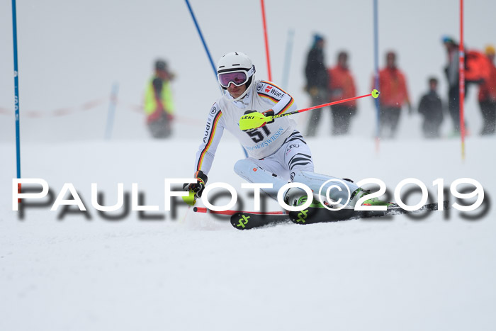 Int. FIS Rennen + NJC  AC Herren, FIS SG, Götschen, 25.01.2019