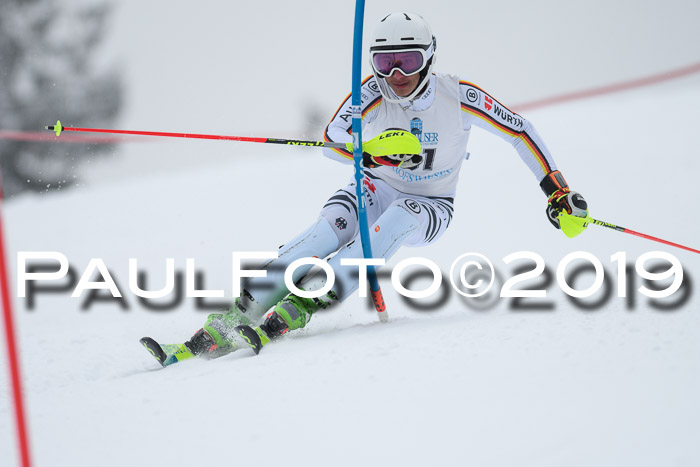 Int. FIS Rennen + NJC  AC Herren, FIS SG, Götschen, 25.01.2019