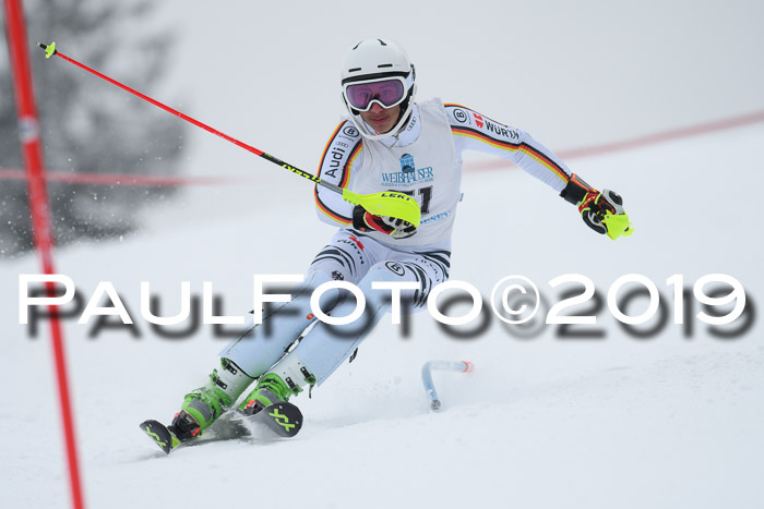 Int. FIS Rennen + NJC  AC Herren, FIS SG, Götschen, 25.01.2019