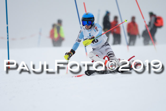 Int. FIS Rennen + NJC  AC Herren, FIS SG, Götschen, 25.01.2019