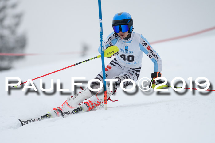 Int. FIS Rennen + NJC  AC Herren, FIS SG, Götschen, 25.01.2019