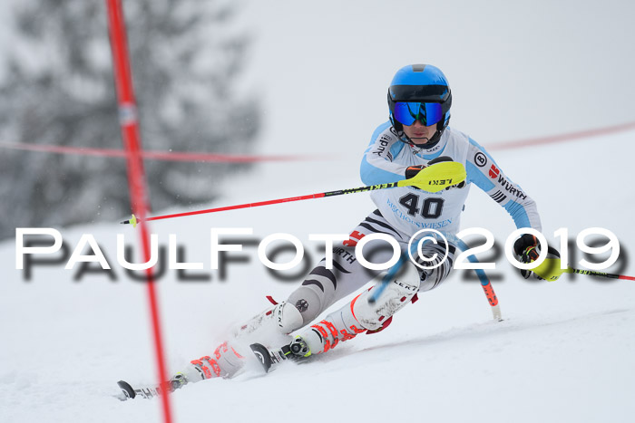 Int. FIS Rennen + NJC  AC Herren, FIS SG, Götschen, 25.01.2019