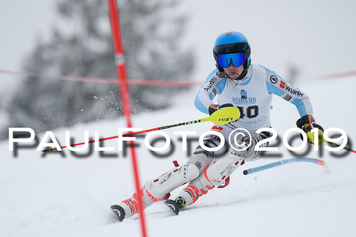 Int. FIS Rennen + NJC  AC Herren, FIS SG, Götschen, 25.01.2019