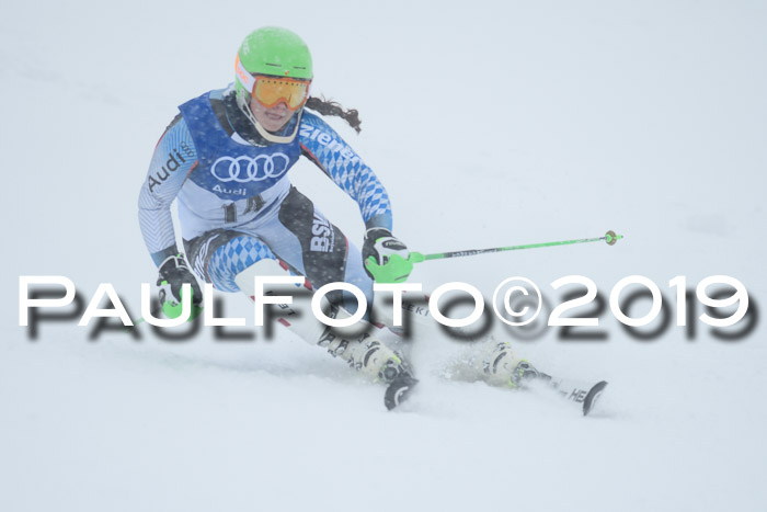 Bayerische Schülermeisterschaft SL 2019