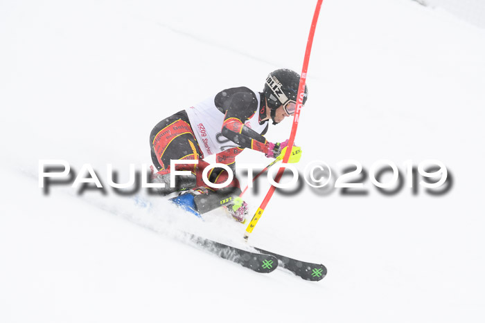 FIS Deutsche Jugendmeisterschaft Slalom Herren 2019