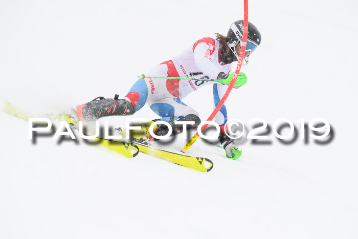 FIS Deutsche Jugendmeisterschaft Slalom Herren 2019