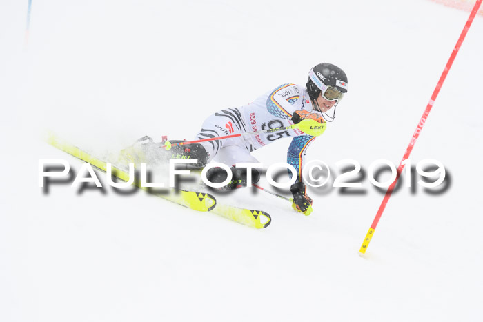 FIS Deutsche Jugendmeisterschaft Slalom Herren 2019