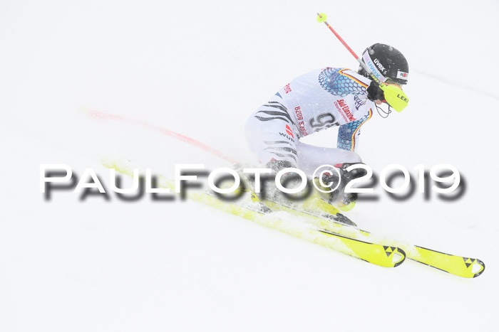FIS Deutsche Jugendmeisterschaft Slalom Herren 2019
