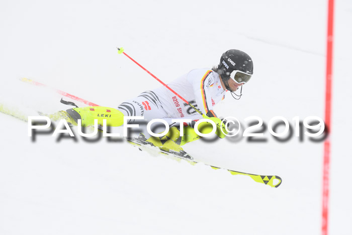 FIS Deutsche Jugendmeisterschaft Slalom Herren 2019